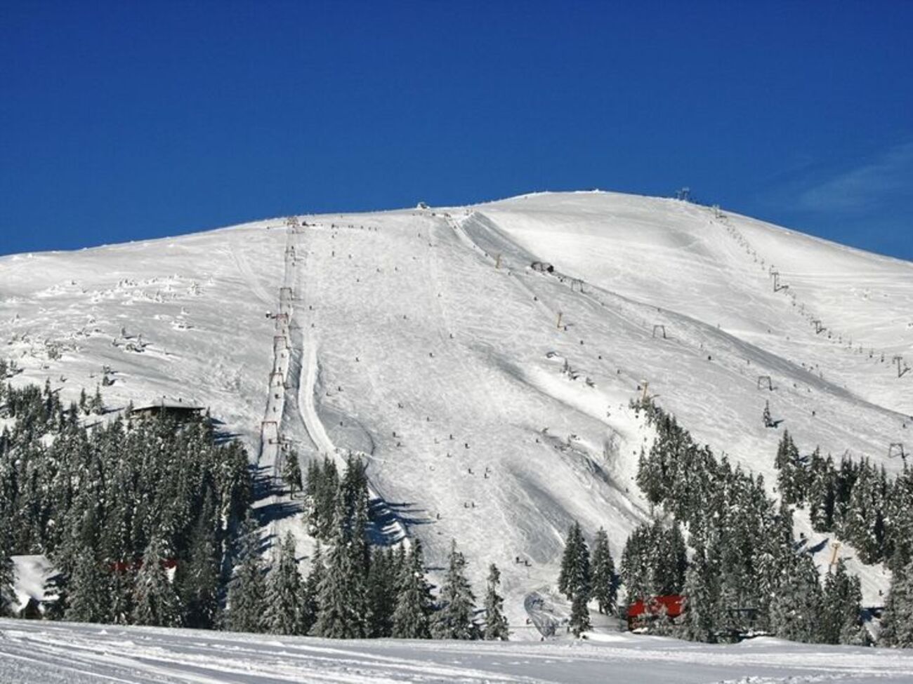 ДСНС урятувала у Карпатах шістьох осіб