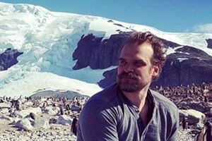 Харбор: Это мой танец с пингвинами