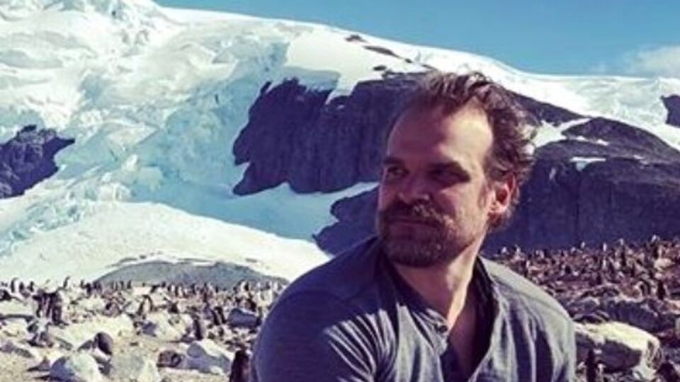 Гарбор: Це мій танець із пінгвінами