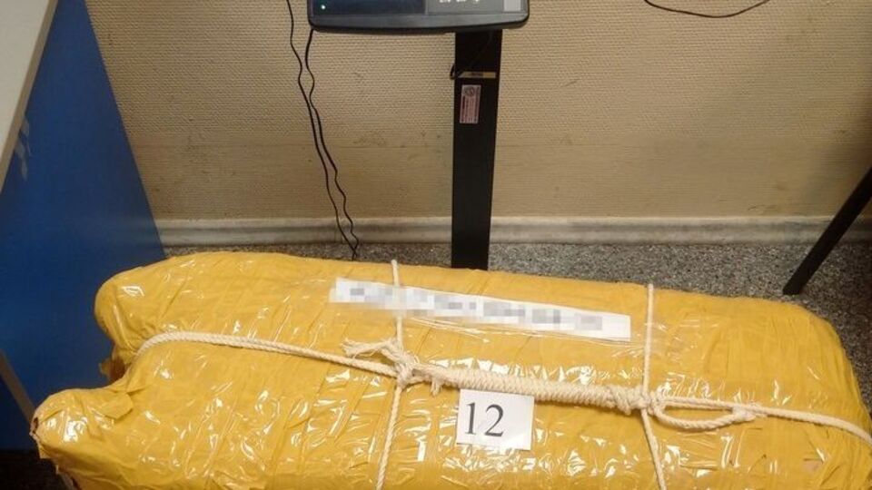 Миронов: Версию, что 12 чемоданов с кокаином можно пронести в школу без ведома охраны, можно сразу исключить