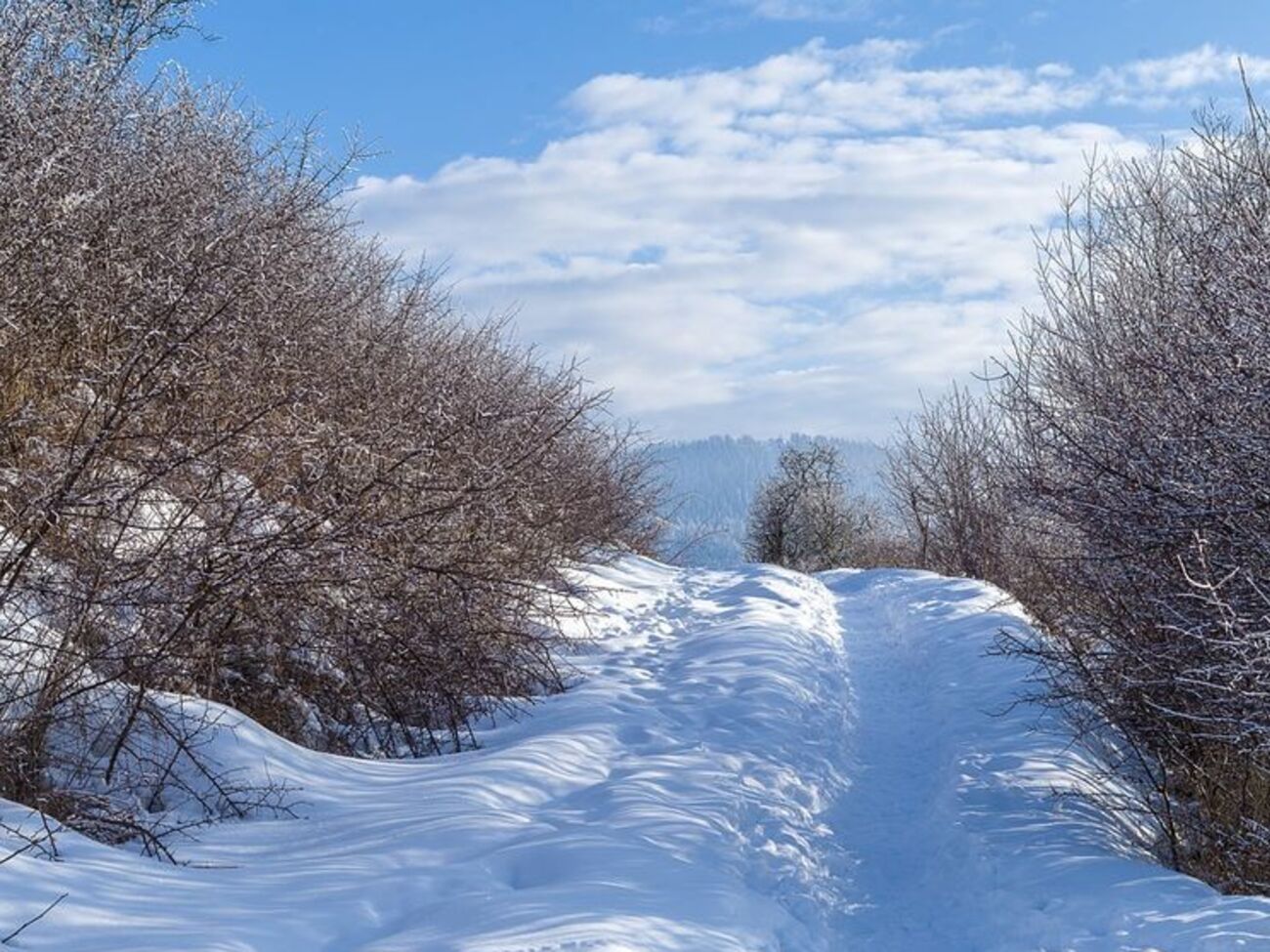 На дорогах України 28 лютого і 1 березня очікують на ожеледицю