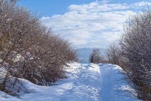 На дорогах України 28 лютого і 1 березня очікують на ожеледицю