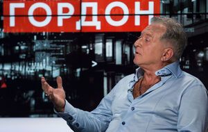 Гінзбург: Якщо за тими, хто громить, за нашими силовиками, передбачена наявність державного розуму, то, напевно, це неправильно