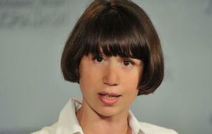 Черновол: Расследование дела "вышек Януковича" могло быть завершено еще год назад