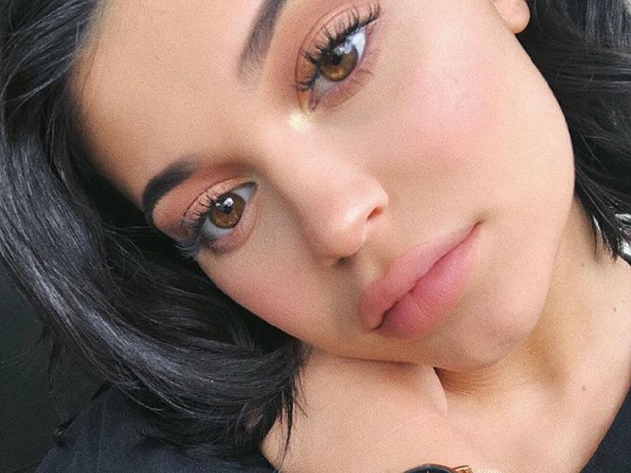 Дженнер установила рекорд в Instagram