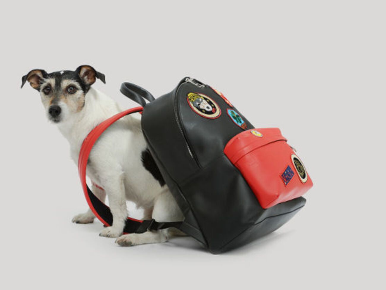 Мисс Одри позировала с рюкзаком из новой коллекции Versace