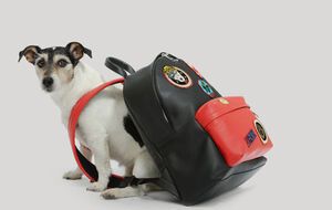 Мисс Одри позировала с рюкзаком из новой коллекции Versace