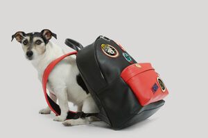 Мисс Одри позировала с рюкзаком из новой коллекции Versace