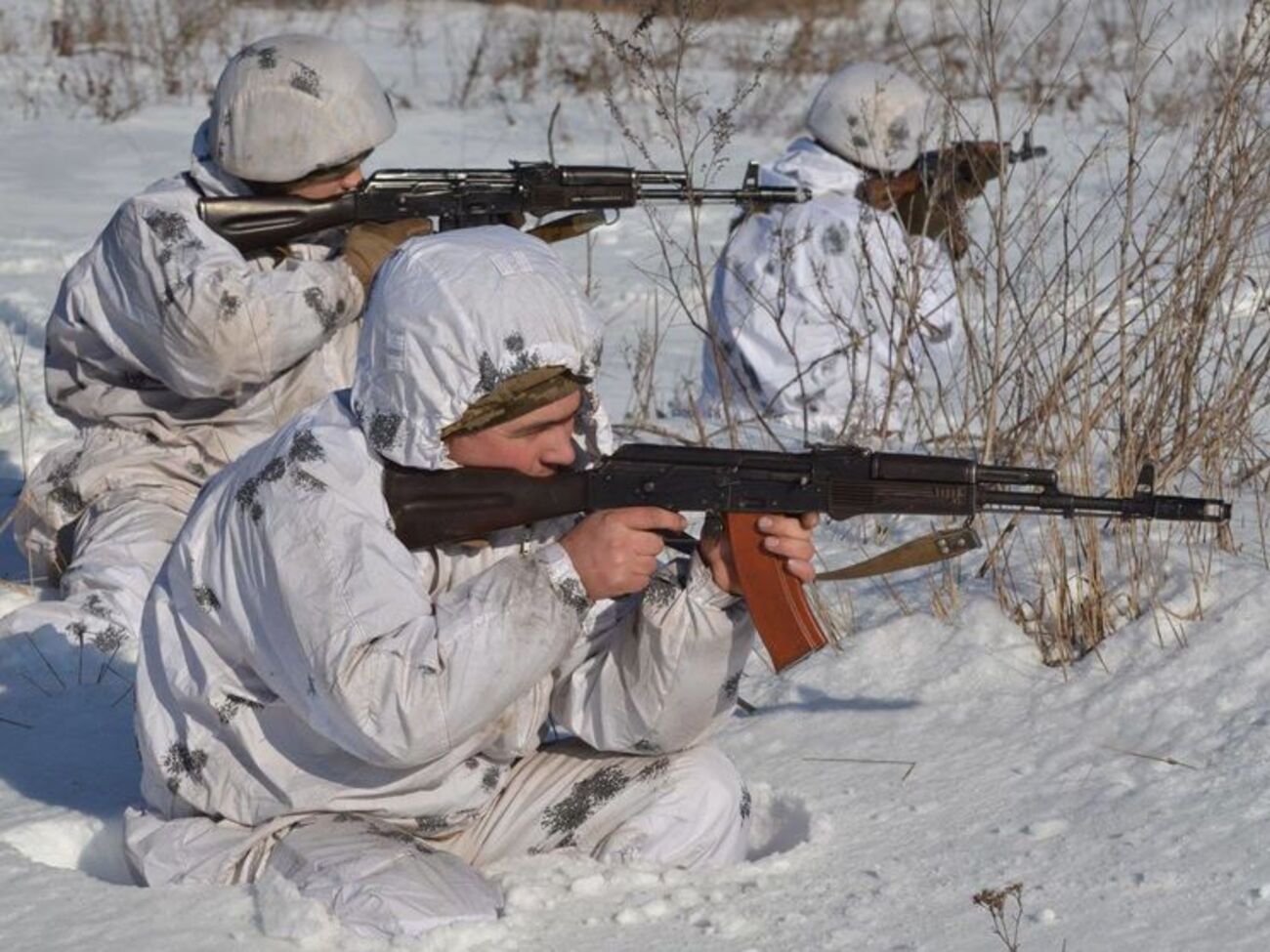 Украинских военных обстреливали только на донецком направлении