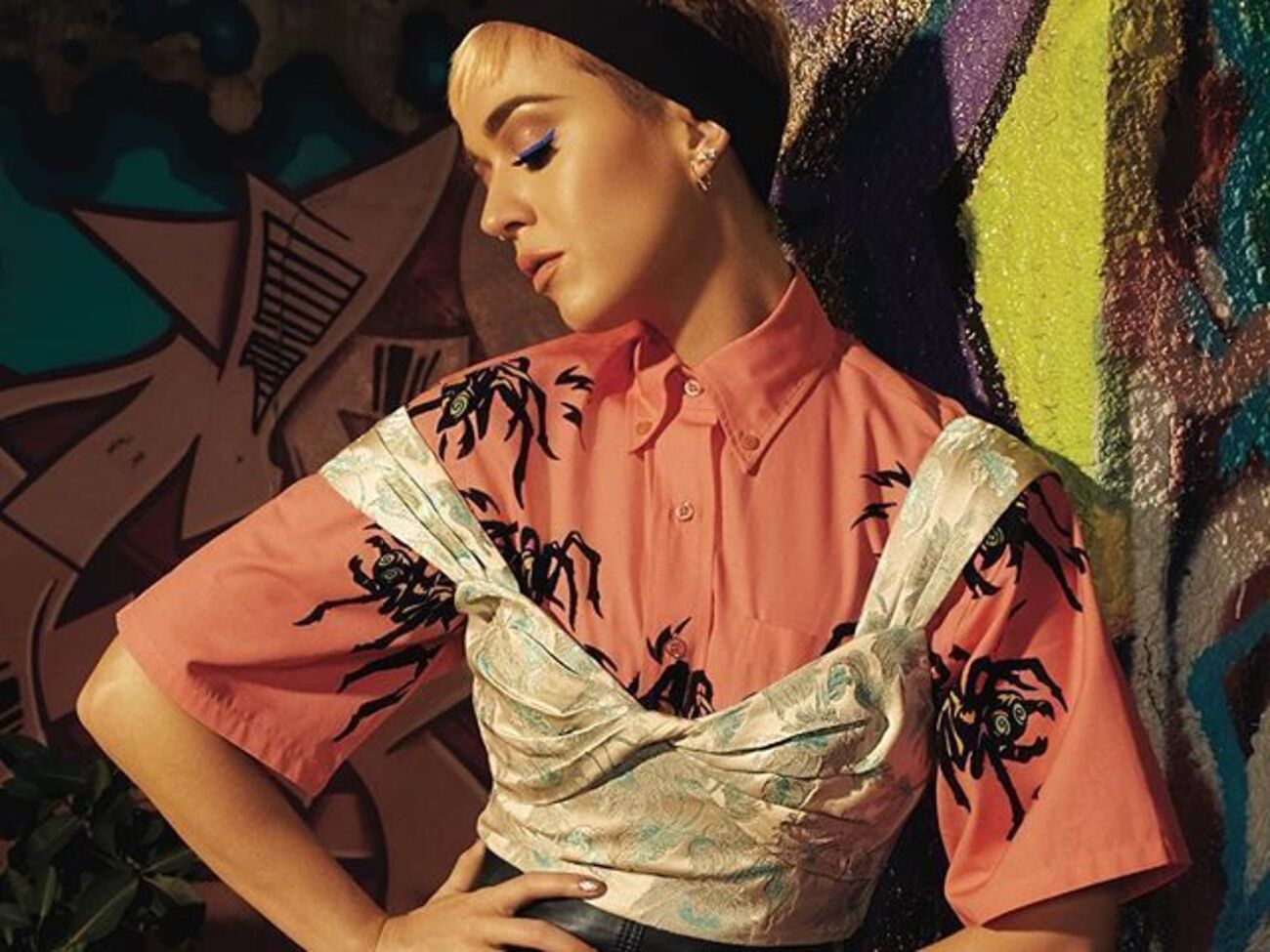 Перри отстаивает безоговорочное право на недвижимость