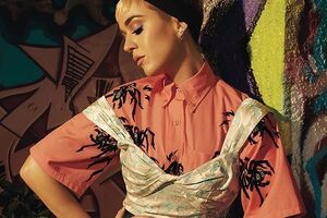 Перри отстаивает безоговорочное право на недвижимость