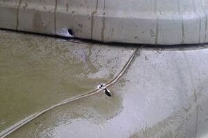 Кулі пробили радіатор автомобіля