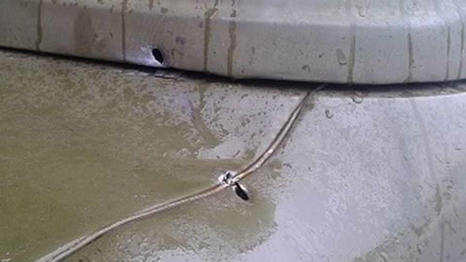 Кулі пробили радіатор автомобіля