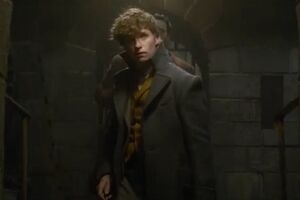 Ньют Саламандер буде протистояти Ґріндельвальду