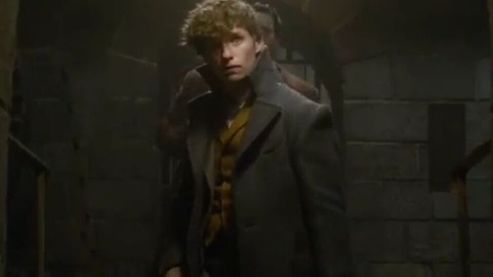 Ньют Саламандер будет противостоять Гриндельвальду