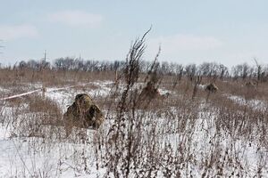 Українських військових обстрілювали на донецькому та луганському напрямках