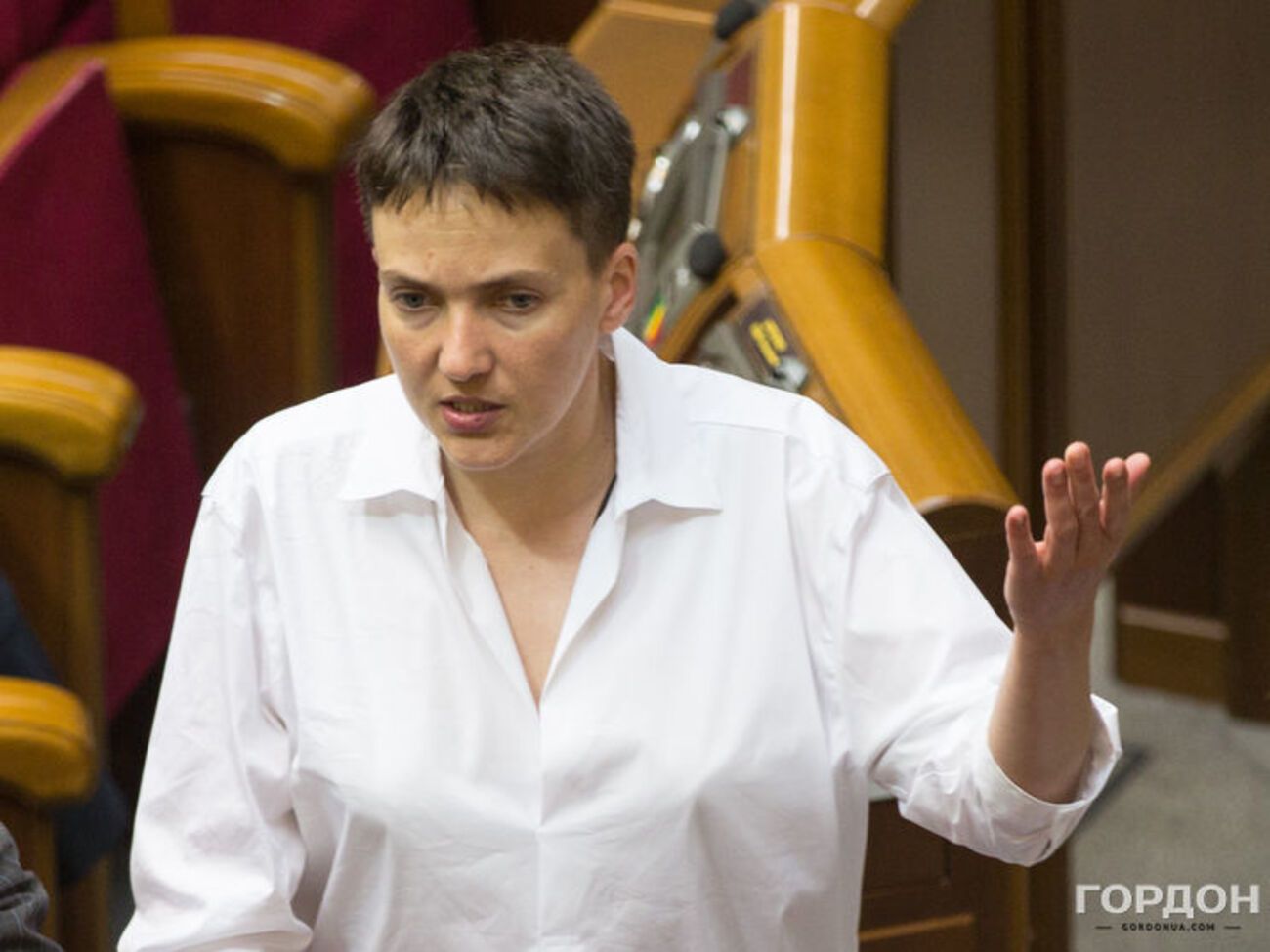 ЗМІ повідомляли, що Савченко нібито принесла боєприпаси до Верховної Ради