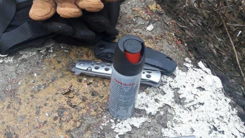 Патрульные Закарпатья вызвали следственно-оперативную группу с целью дальнейшего выяснения всех обстоятельств