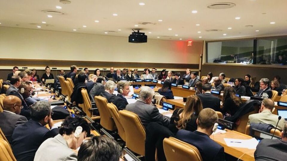 Украину на заседании представляют заместитель министра иностранных дел Елена Зеркаль и представители Меджлиса крымскотатарского народа
