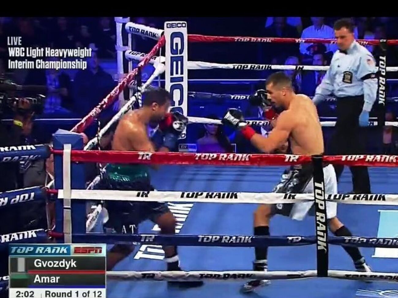 Гвоздик выиграл 15-й бой в профессиональной карьере