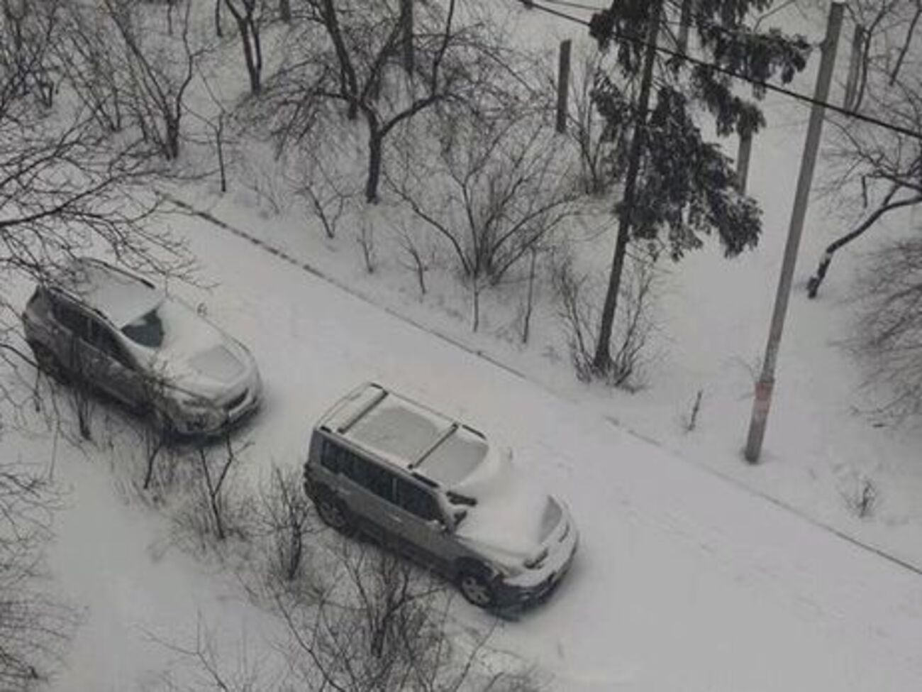19 березня в Україні очікують&nbsp;хуртовин, снігопадів та ожеледиці на дорогах