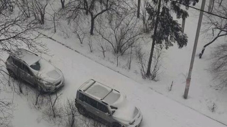 19 марта в Украине ожидаются метели, снегопады и гололедица на дорогах
