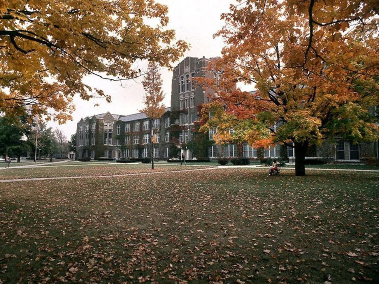 Инцидент произошел не территории кампуса вуза