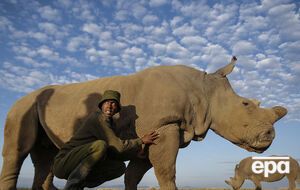 Судану було 45 років