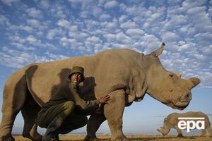 Судану було 45 років