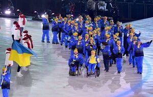 В активе паралимпийской сборной Украины 22 медали: семь золотых, семь серебряных и восемь бронзовых