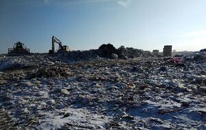 Жители требуют закрыть мусорный полигон