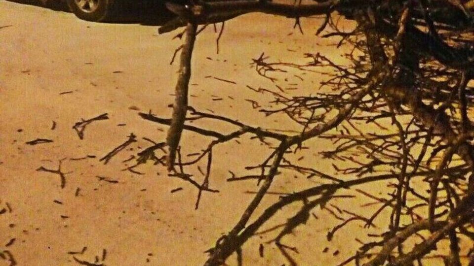 Експертиза показала, що кислотність наданих зразків снігу нейтральна, в осаді – піщано-коричнева суміш