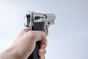 Вооруженная Рада. Нардепы официально владеют 323 единицами огнестрельного оружия. Инфографика