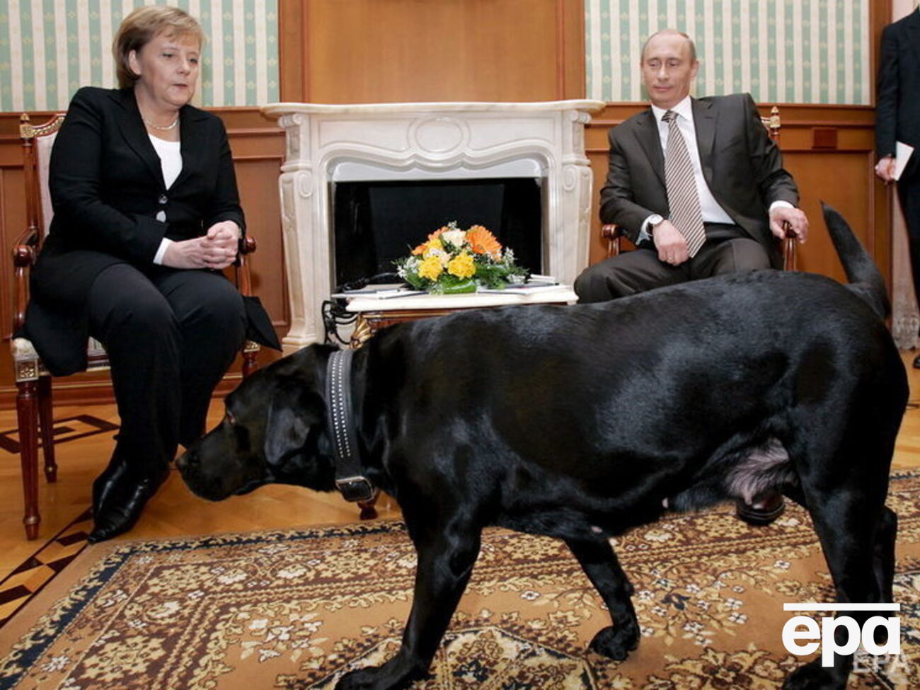 По словам Белковского, Меркель недолюбливает собак