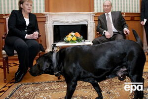 По словам Белковского, Меркель недолюбливает собак