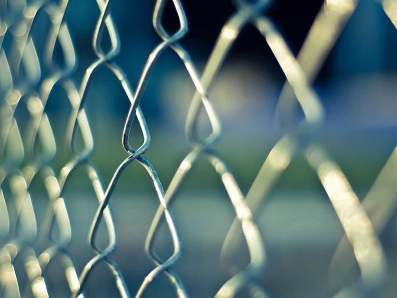 Будівництво паркану проти кабанів уздовж східного кордону Польщі має початися у вересні, заявив Юргель