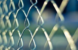 Будівництво паркану проти кабанів уздовж східного кордону Польщі має початися у вересні, заявив Юргель