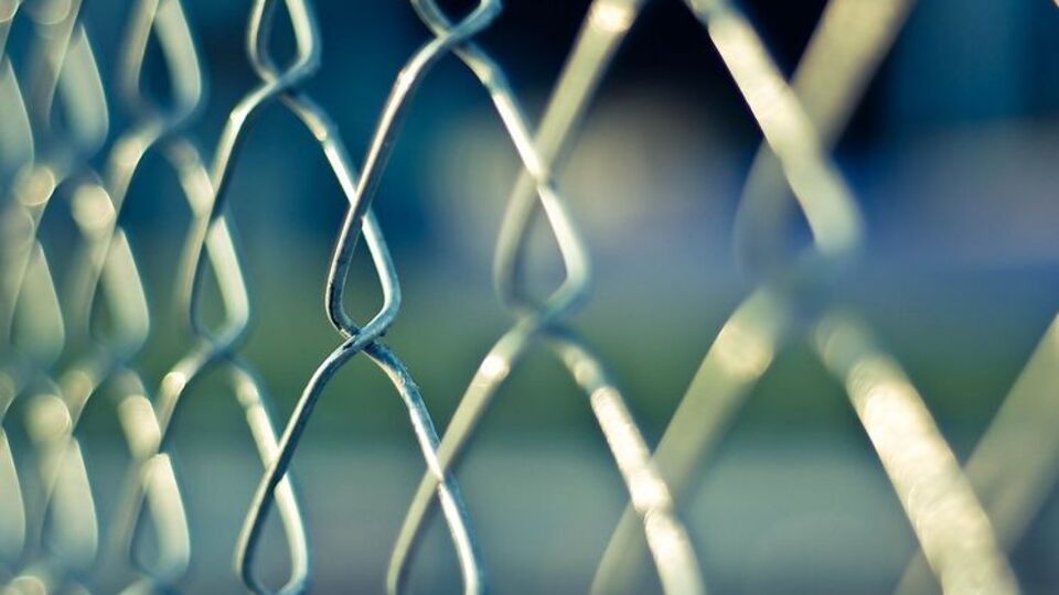 Строительство забора против кабанов вдоль восточной границы Польши должно начаться в сентябре, заявил Юргель