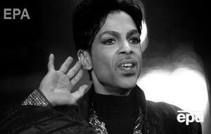 Анальгетик обнаружили в крови и внутренних органах Принса