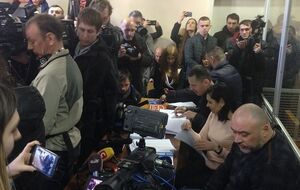 Крысина называют координатором титушек