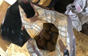 Полиция сообщила, что нашла в палаточном лагере гранаты