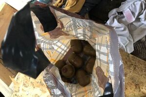 Поліція повідомила, що знайшла в наметовому таборі гранати