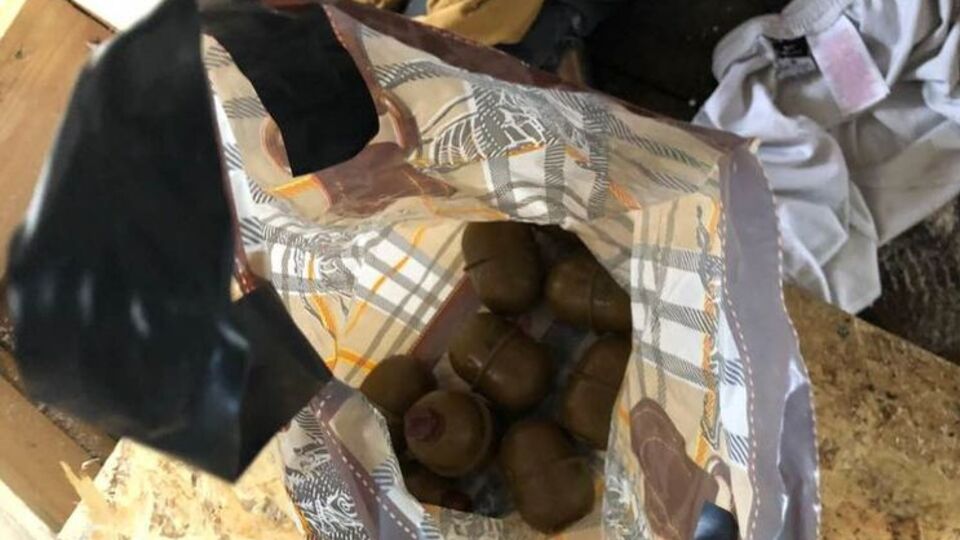 Поліція повідомила, що знайшла в наметовому таборі гранати
