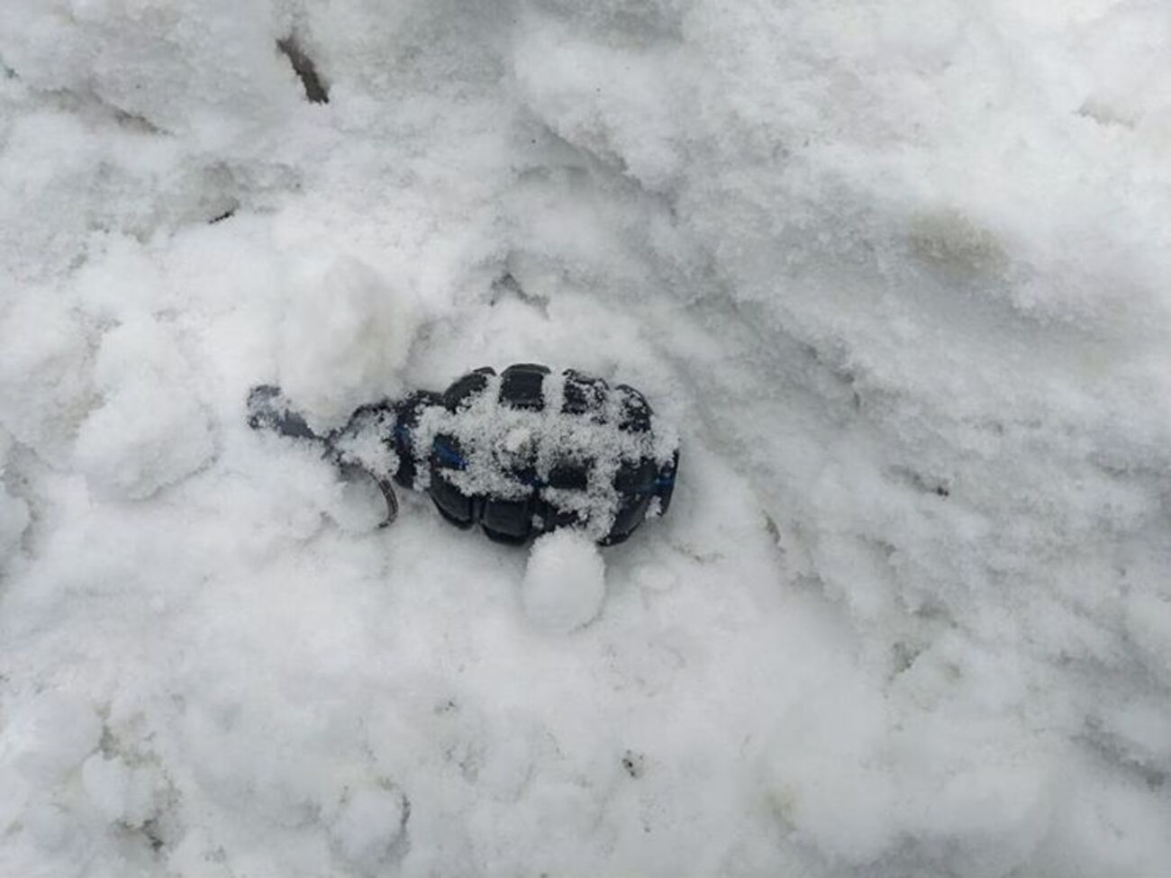 За словами Шкіряка, під час огляду наметового табору було знайдено предмети, схожі на бойові гранати