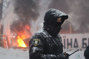 Геращенко: Кожен має право на мирний протест, але він не передбачає зберігання бойових гранат