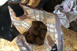 Експерти визнали бойовими гранати, виявлені під Верховною Радою
