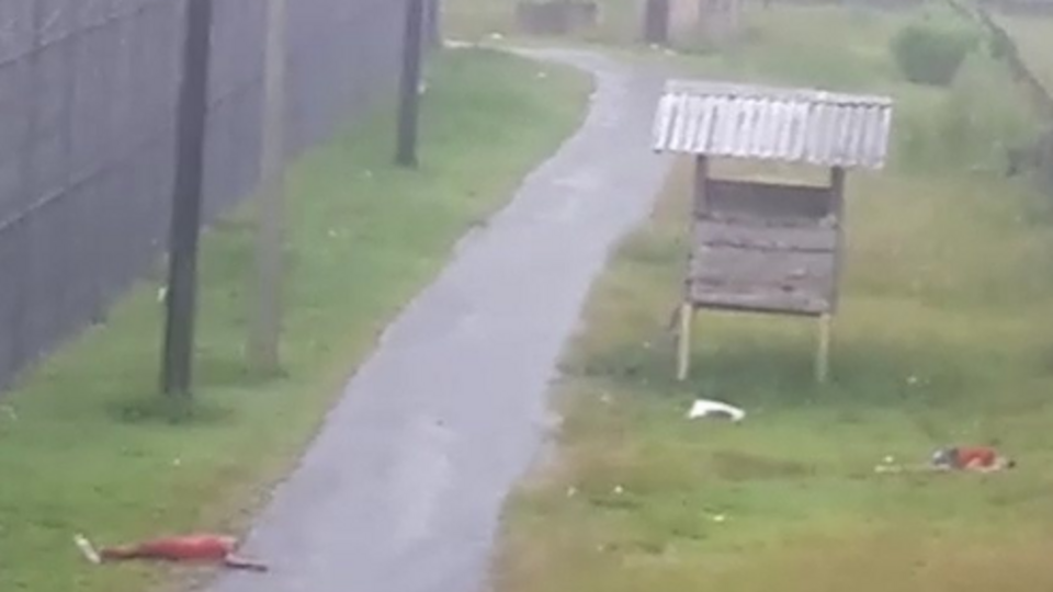 Жодному в'язню не вдалося втекти