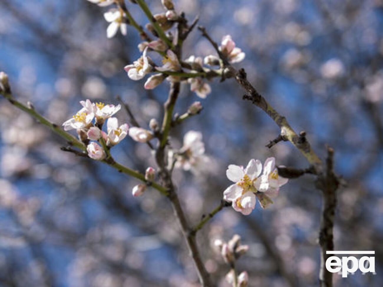 На большей части Украины осадков 13 апреля не ожидается