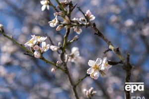 На большей части Украины осадков 13 апреля не ожидается