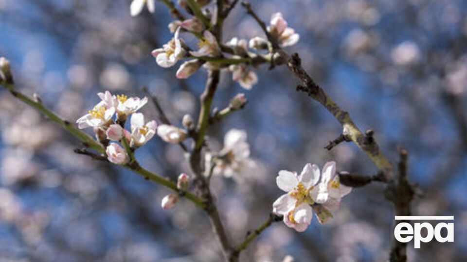 На большей части Украины осадков 13 апреля не ожидается